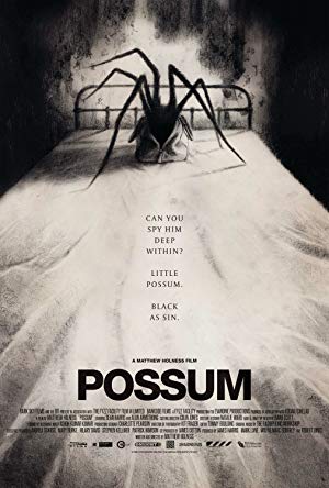 Possum poster