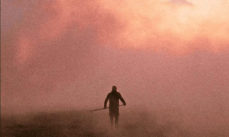 Reedland (2025. Rietland. Sven Bresser) FICX Festival de cine de Gijon 2025 image-38140