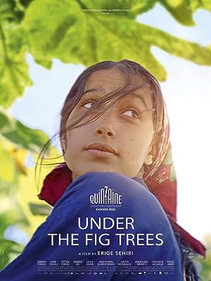 Under the Fig Trees poster