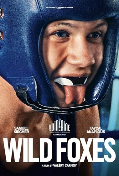 Wild Foxes poster