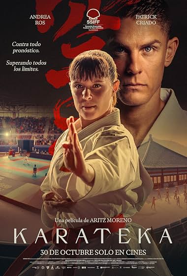 Karateka poster
