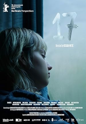 17 poster
