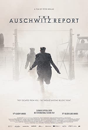 The Auschwitz Report poster